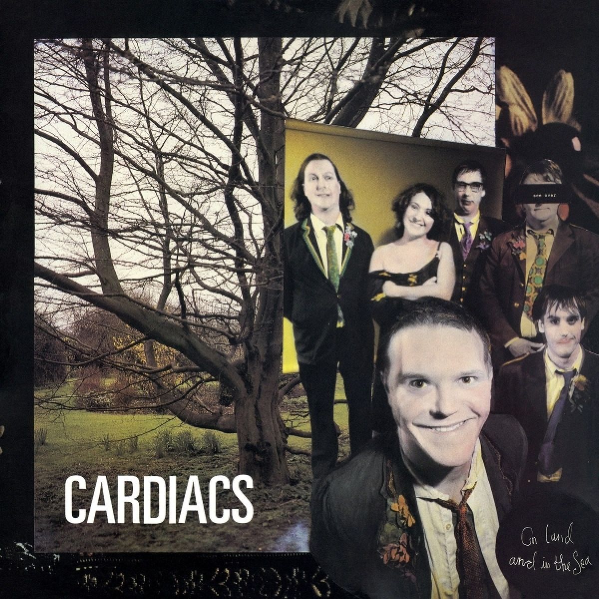 Afbeelding van Cardiacs - On Land And In The Sea