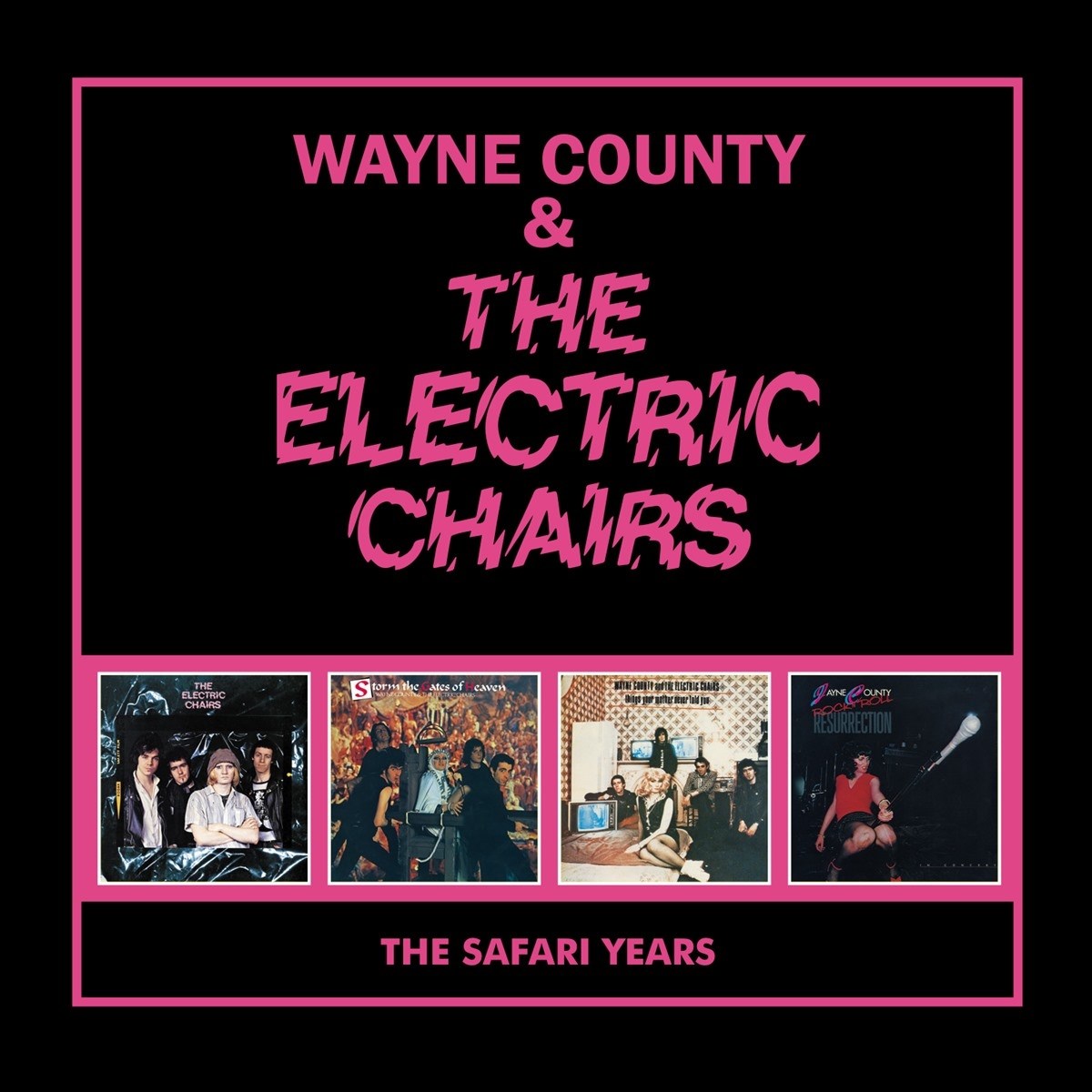Afbeelding van Wayne County & The Electric Chairs - The Safari Years