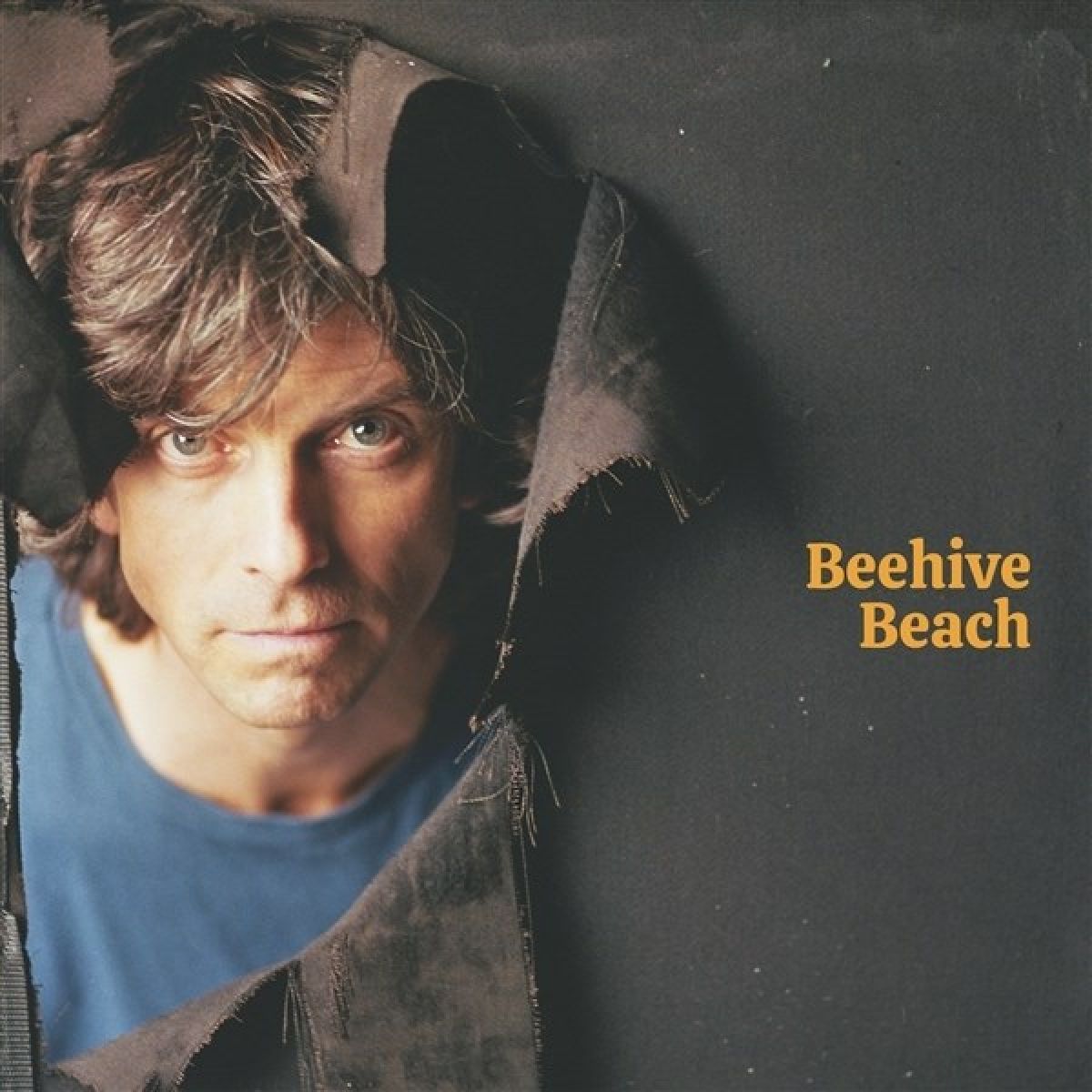 Afbeelding van Euros Childs - Beehive Beach