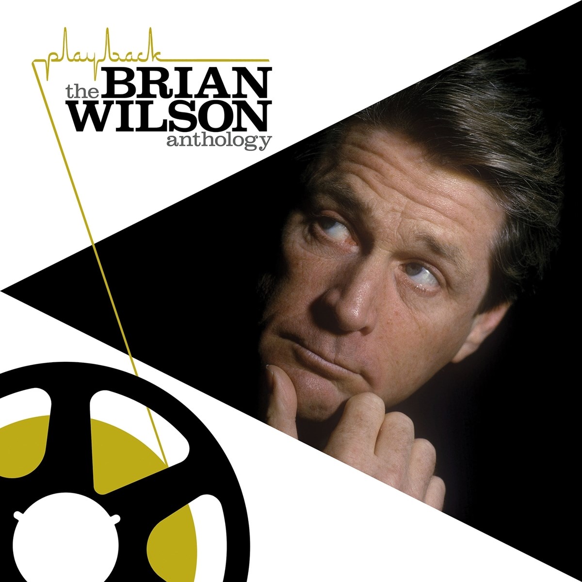 Afbeelding van Brian Wilson - Playback: The Brian Wilson Anthology