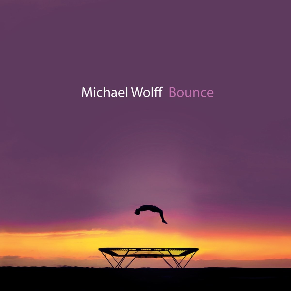 Afbeelding van Michael Wolff - Bounce