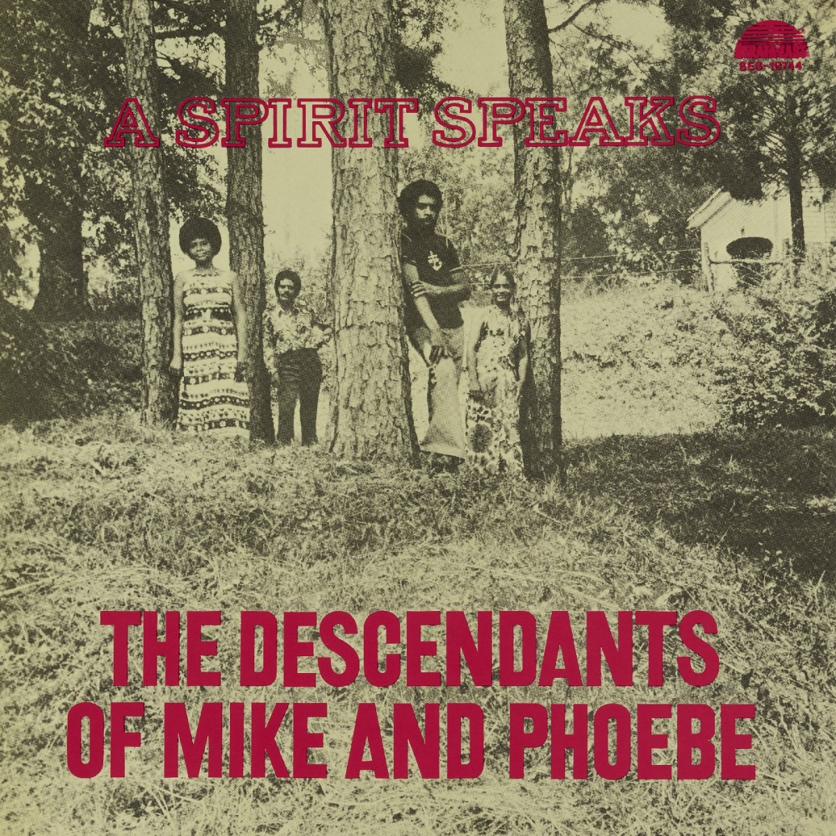 Afbeelding van Bill Lee & The Descendants Of Mike And Phoebe - A Spirit Speaks