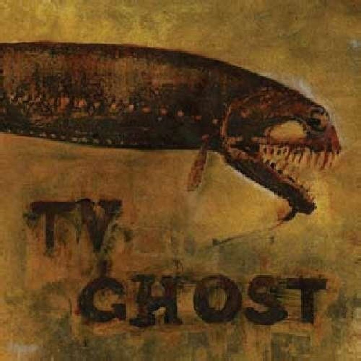 Afbeelding van TV Ghost - Cold Fish