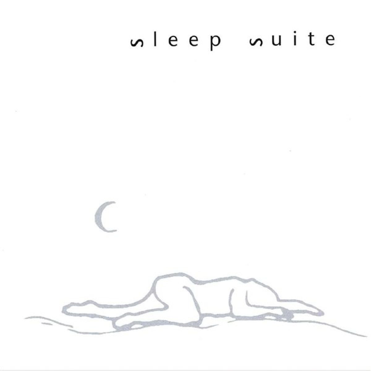 Afbeelding van Terry Wollman - Sleep Suite
