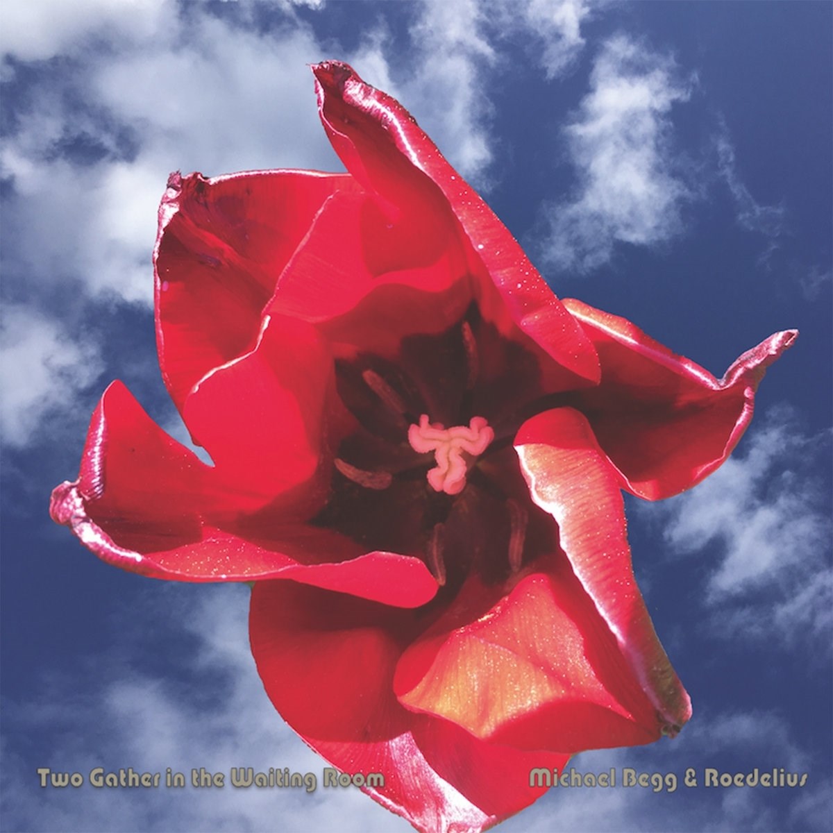 Afbeelding van Michael Begg & Hans-Joachim Roedelius - Two Gather In The Waiting Room