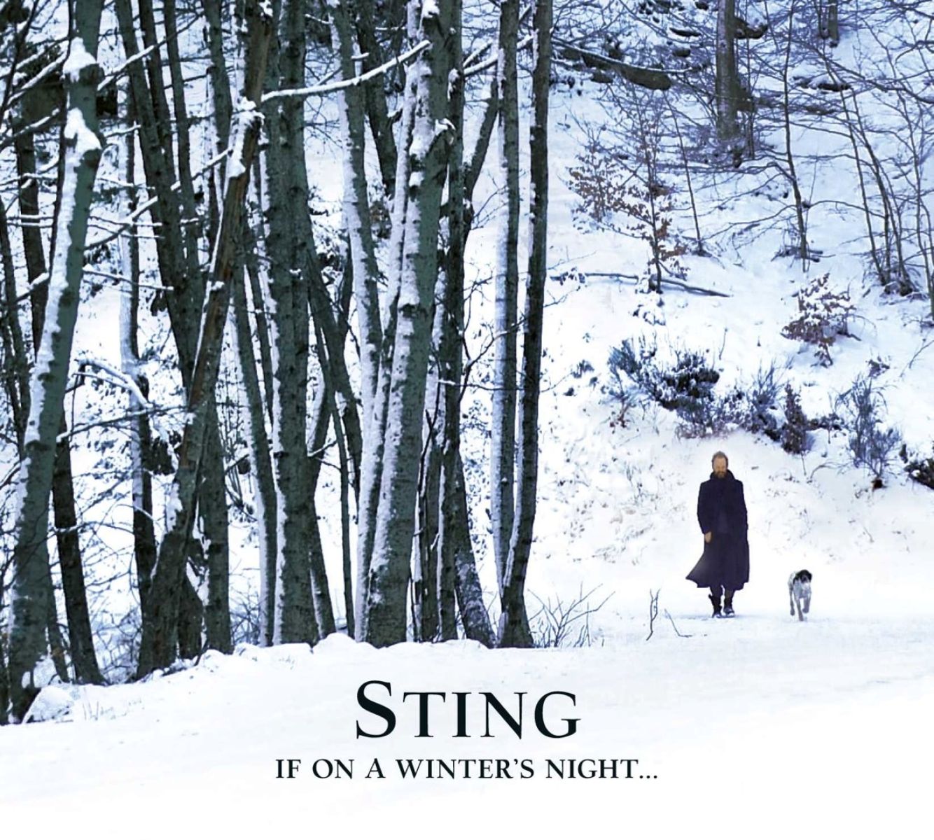 Sting - If On A Winter's Night