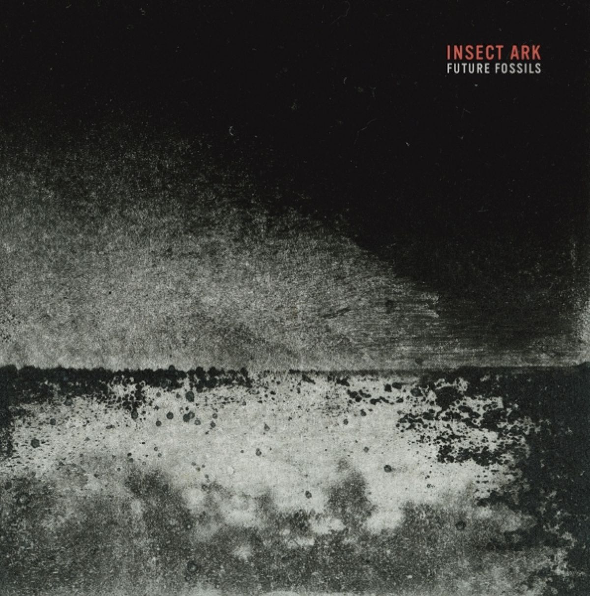 Afbeelding van Insect Ark - Future Fossils