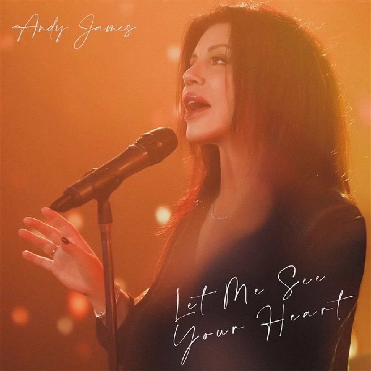 Afbeelding van Andy James - Let Me See Your Heart