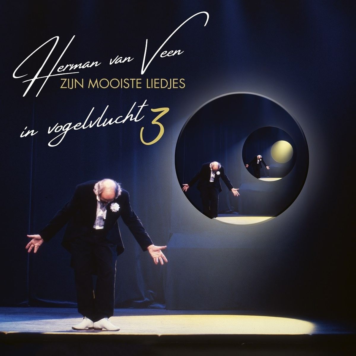 Afbeelding van Herman Van Veen - In Vogelvlucht 3