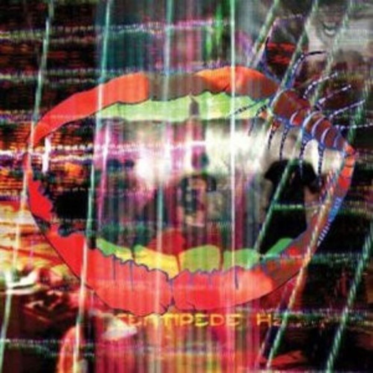 Afbeelding van Animal Collective - Centipede Hz