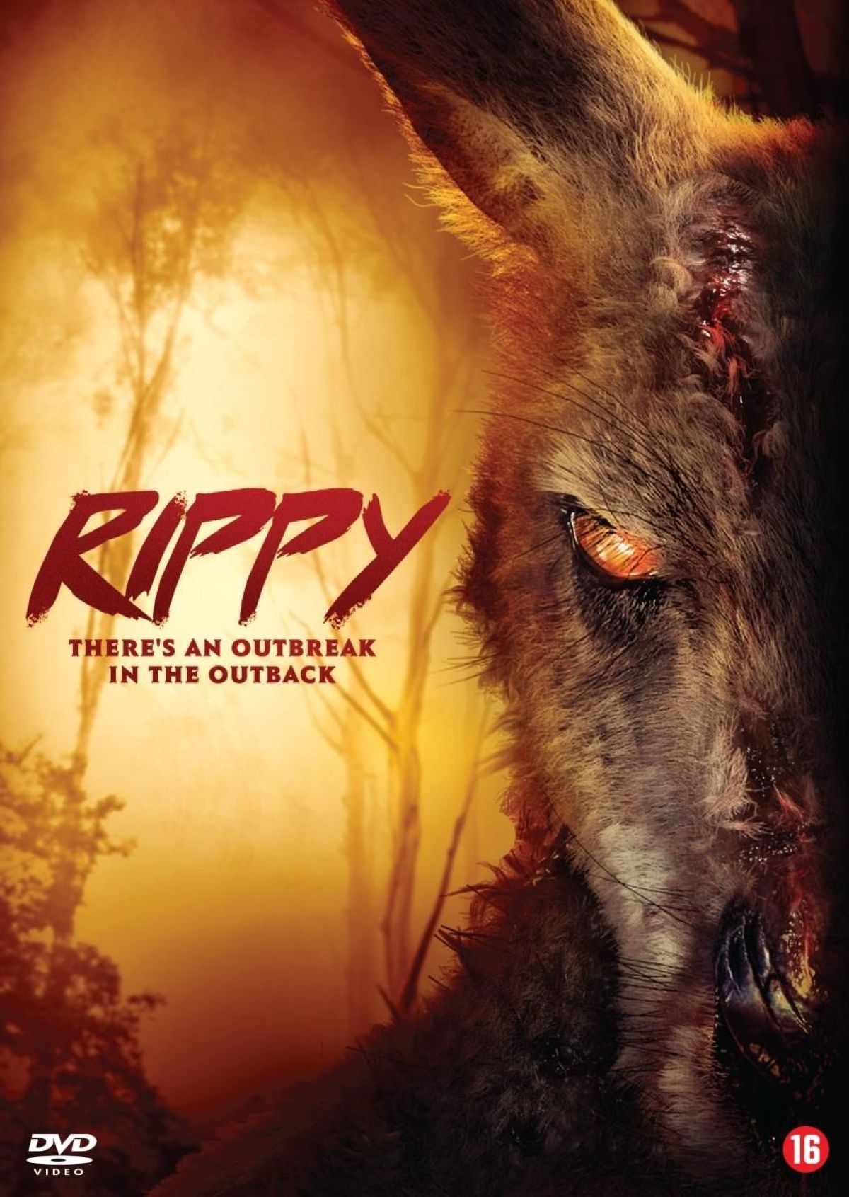 Afbeelding van Rippy