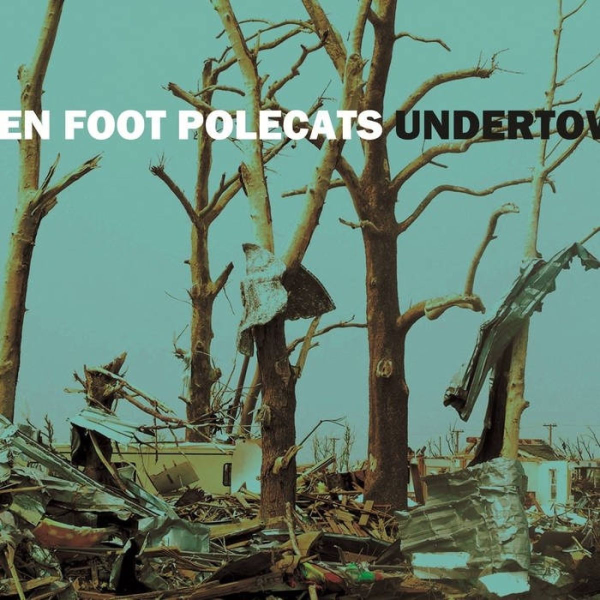 Ten Foot Polecats - Undertow