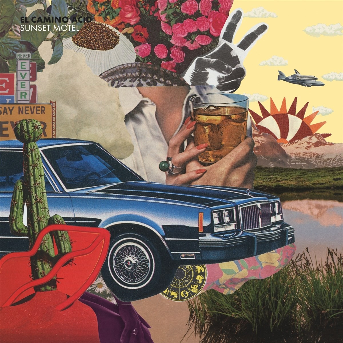 Afbeelding van El Camino Acid - Sunset Motel