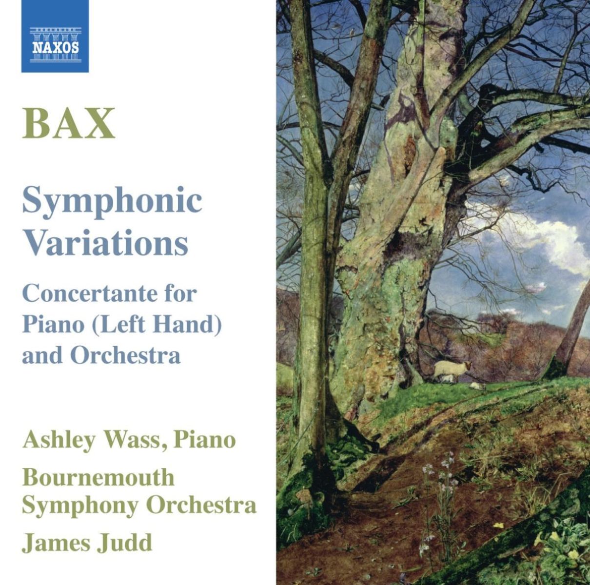 Afbeelding van Ashley Wass, Bournemouth Symphony Orchestra - Bax: Symphonic Variations