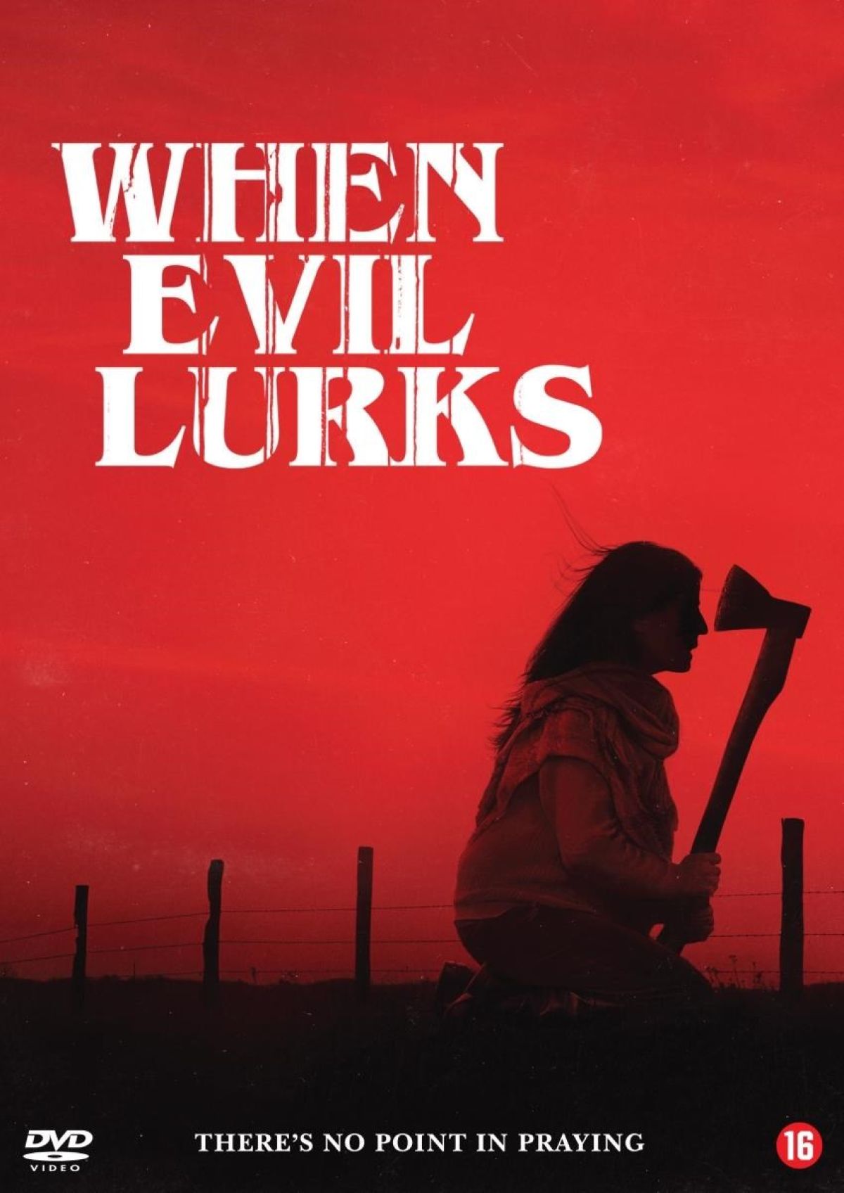 Afbeelding van When Evil Lurks