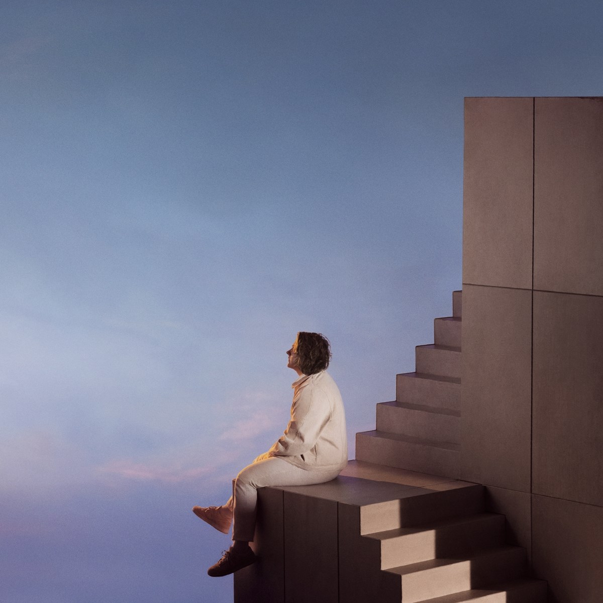 Afbeelding van Lewis Capaldi - Broken By Desire To Be Heavenly Sent