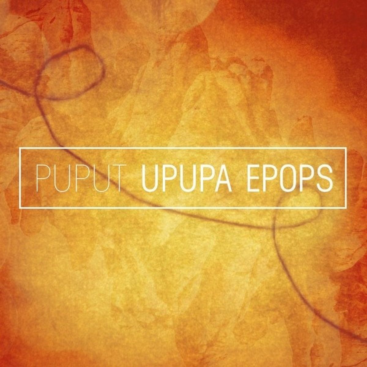 Puput - Upupa Epops