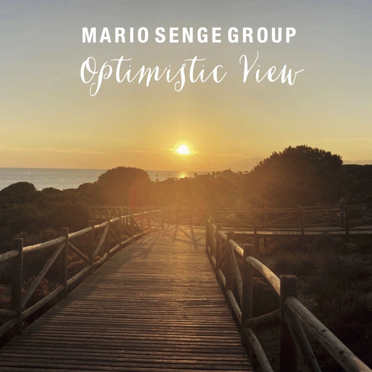 Afbeelding van Mario Senge Group - Optimistic View