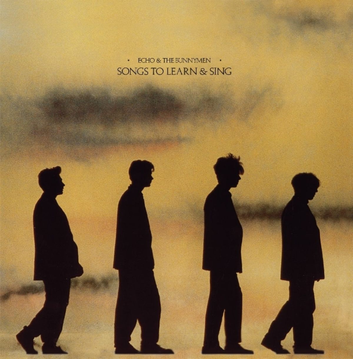 Afbeelding van Echo And The Bunnymen - Songs To Learn & Sing