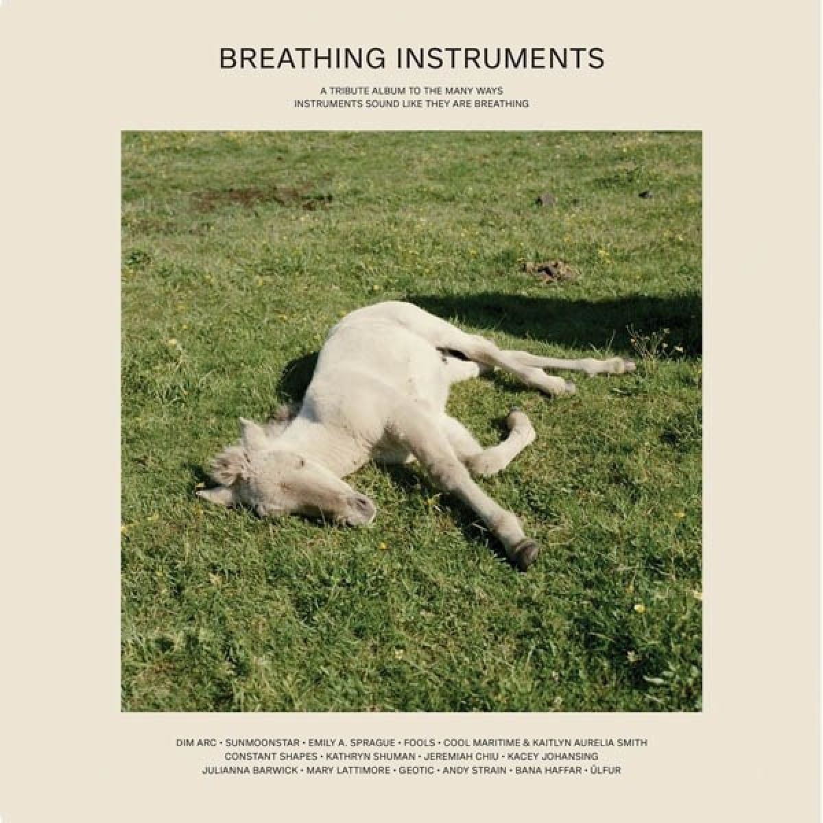 Afbeelding van Various Artists - Breathing Instruments