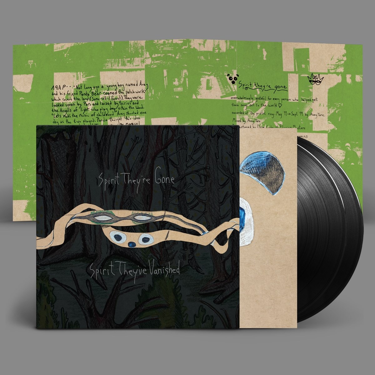 Afbeelding van Animal Collective - Spirit They're Gone Spirit They've Vanished