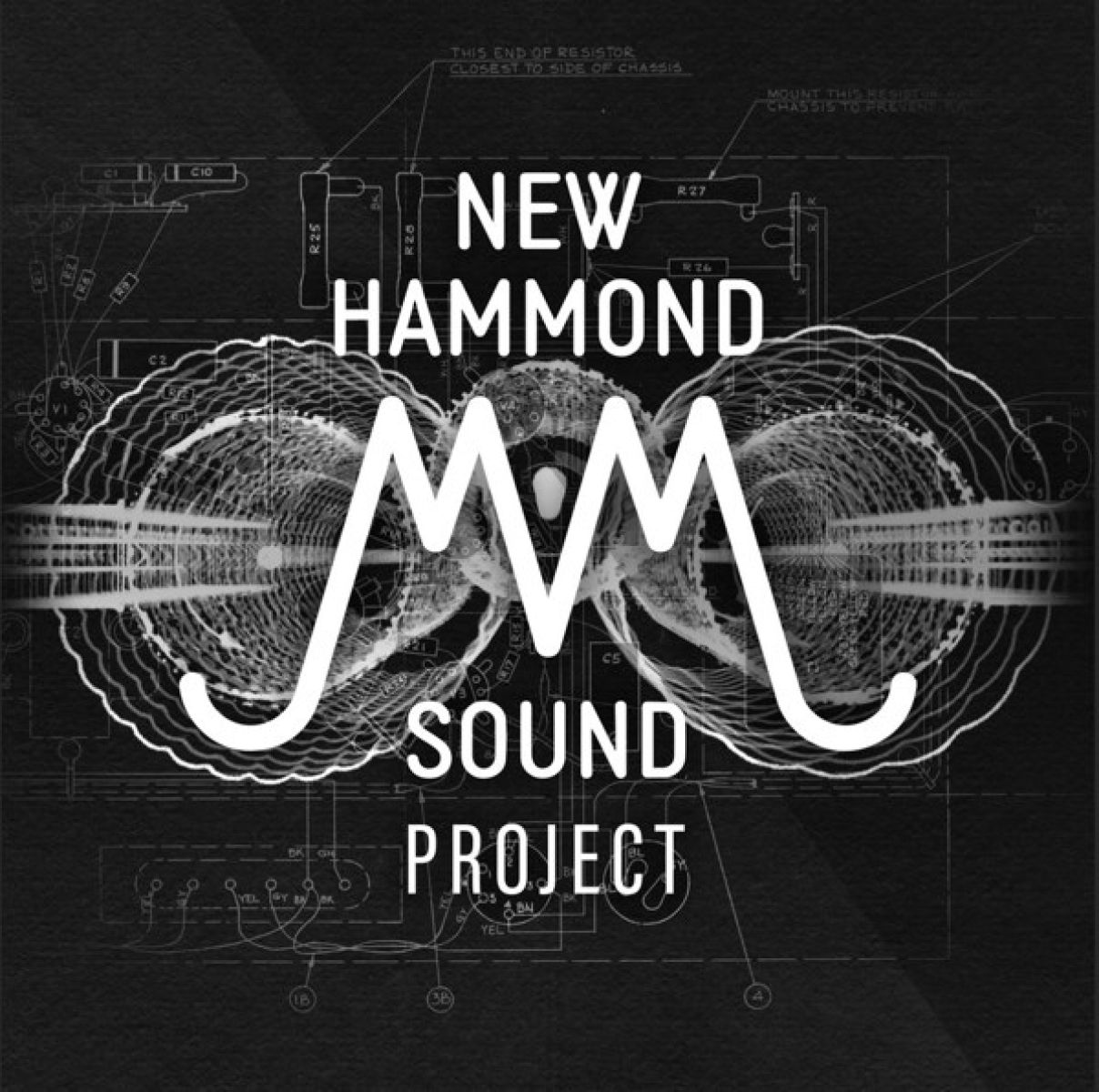 Carlo De Wijs - New Hammond Sound Project