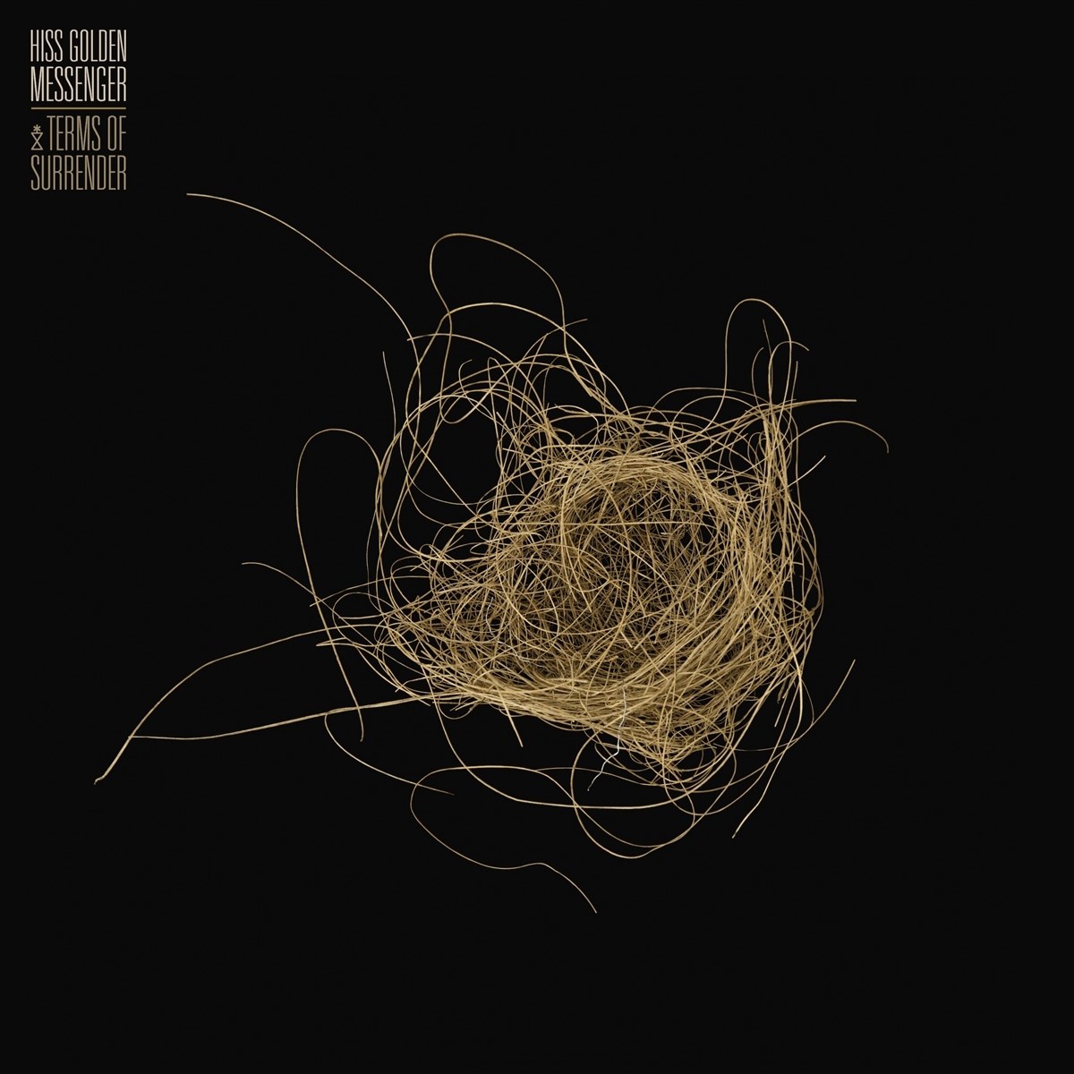 Afbeelding van Hiss Golden Messenger - Terms Of Surrender