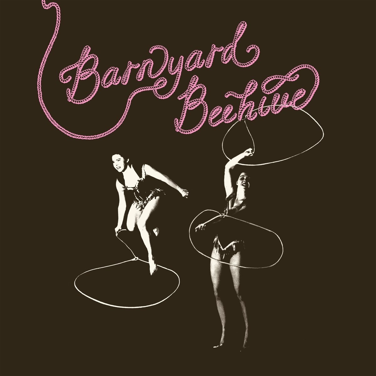 Afbeelding van Various Artists - Barnyard Beehive