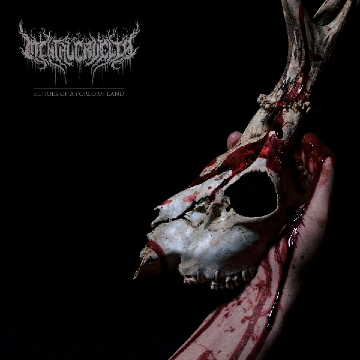 Afbeelding van Mental Cruelty - Echoes Of A Forlorn Land