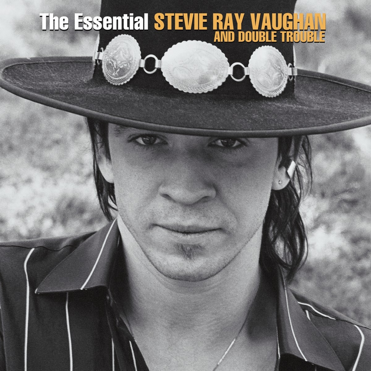 Afbeelding van Stevie Ray Vaughan & Double Trouble - The Essential Stevie Ray Vaughan & Double Trouble