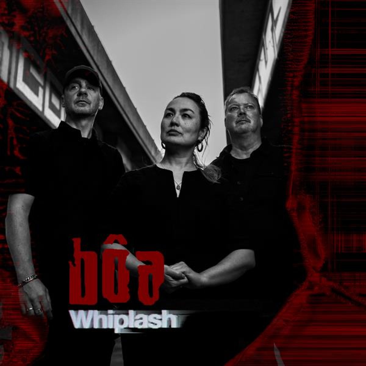 Afbeelding van Whiplash
