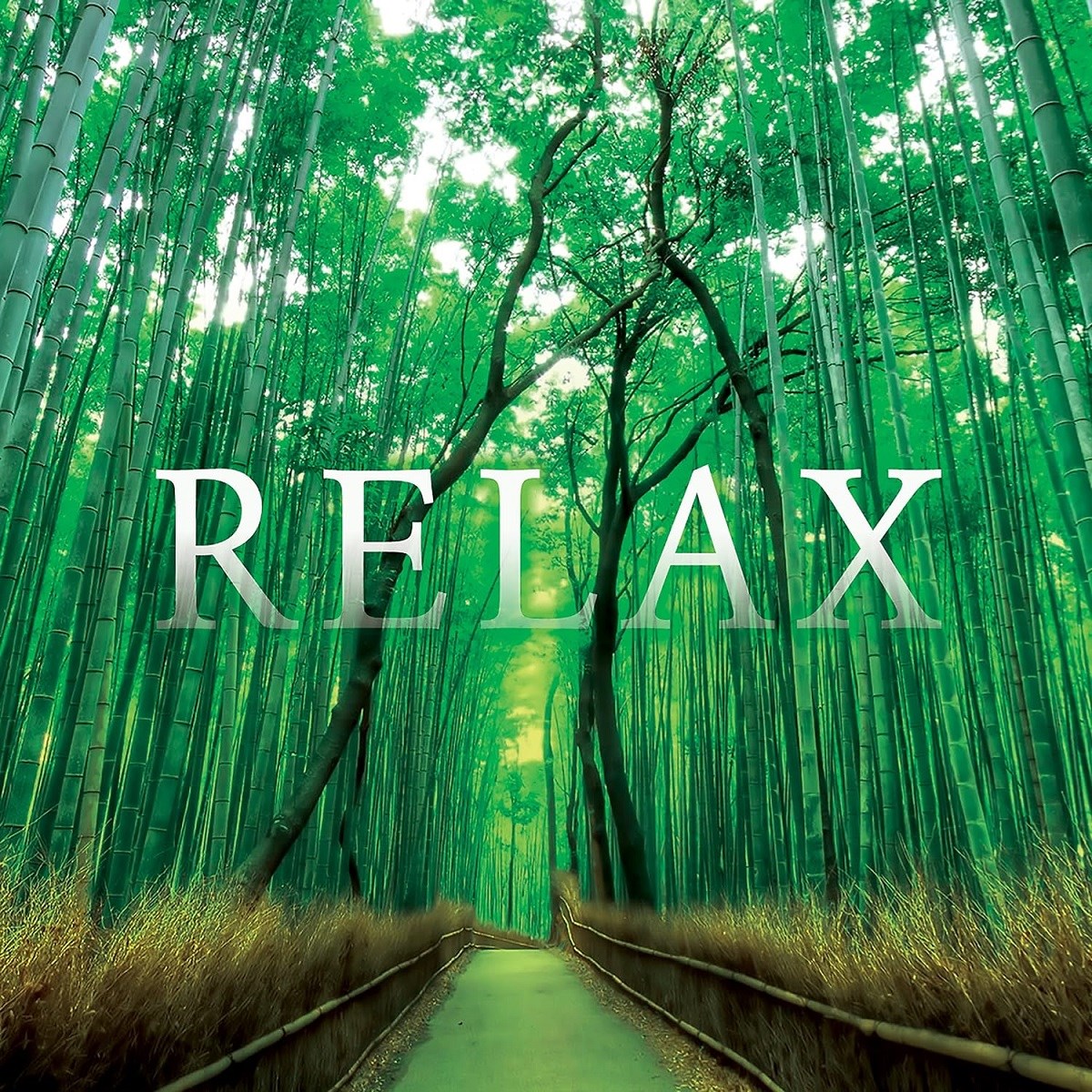 Afbeelding van Various Artists - Relax