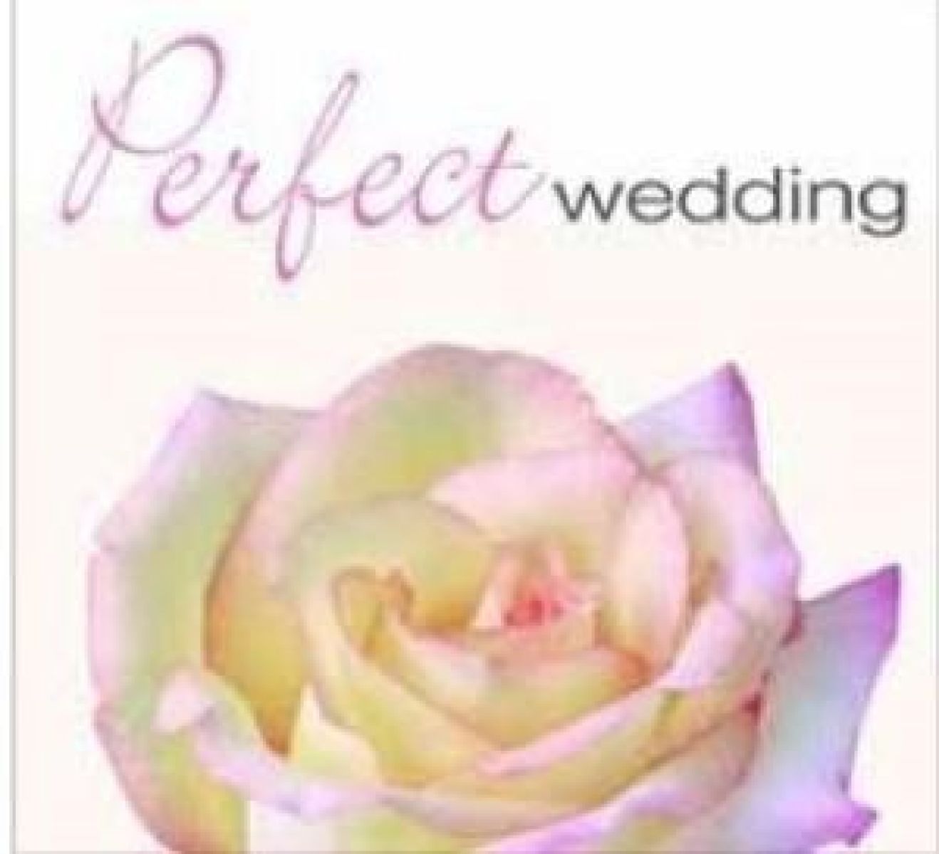 Afbeelding van Various Artists - Perfect Wedding