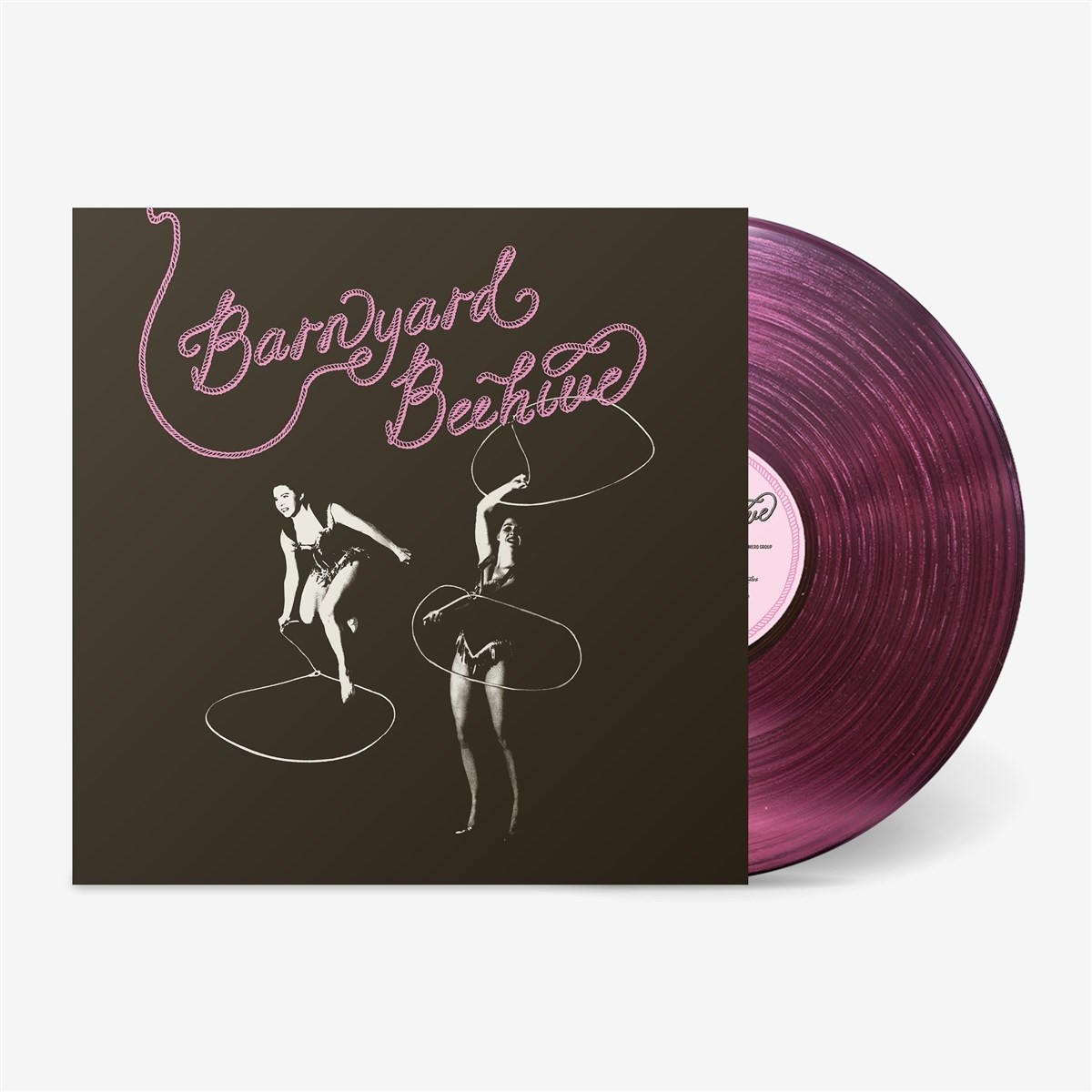 Afbeelding van Various Artists - Barnyard Beehive