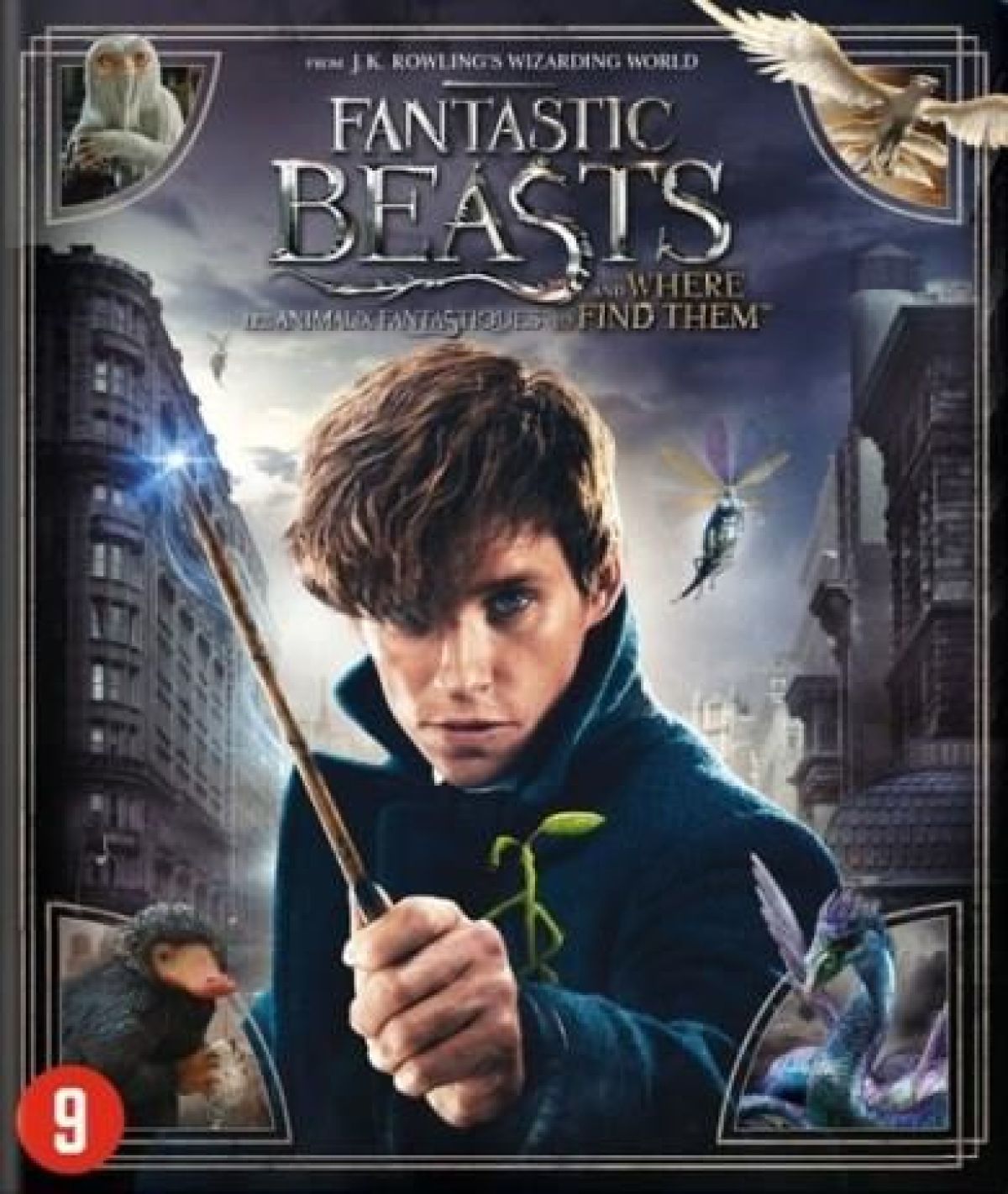 Afbeelding van Fantastic Beasts And Where To Find Them