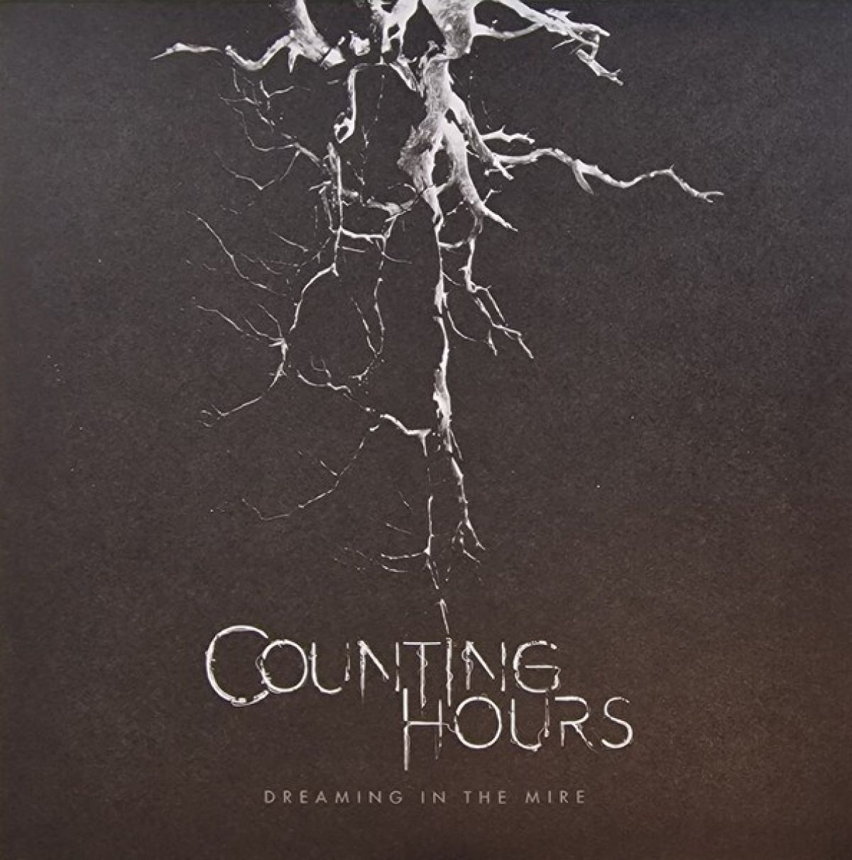 Afbeelding van Counting Hours - Dreaming In The Mire