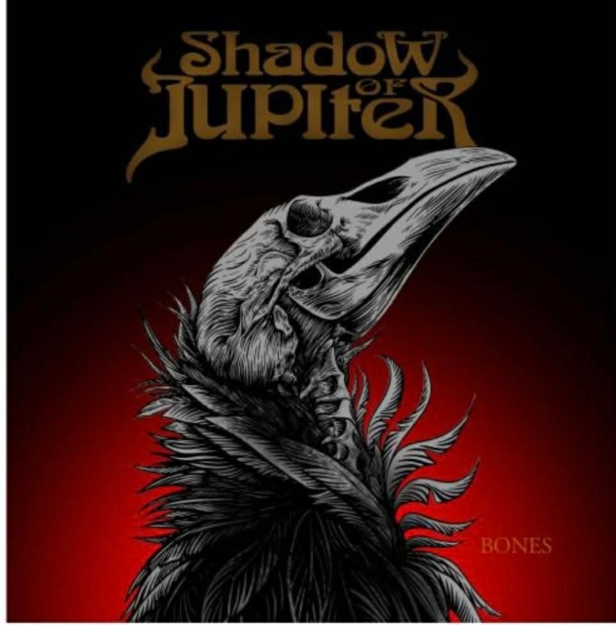 Afbeelding van Shadow Of Jupiter - Bones