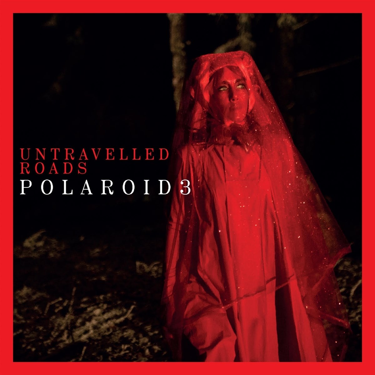 Afbeelding van Polaroid3 - Untravelled Roads