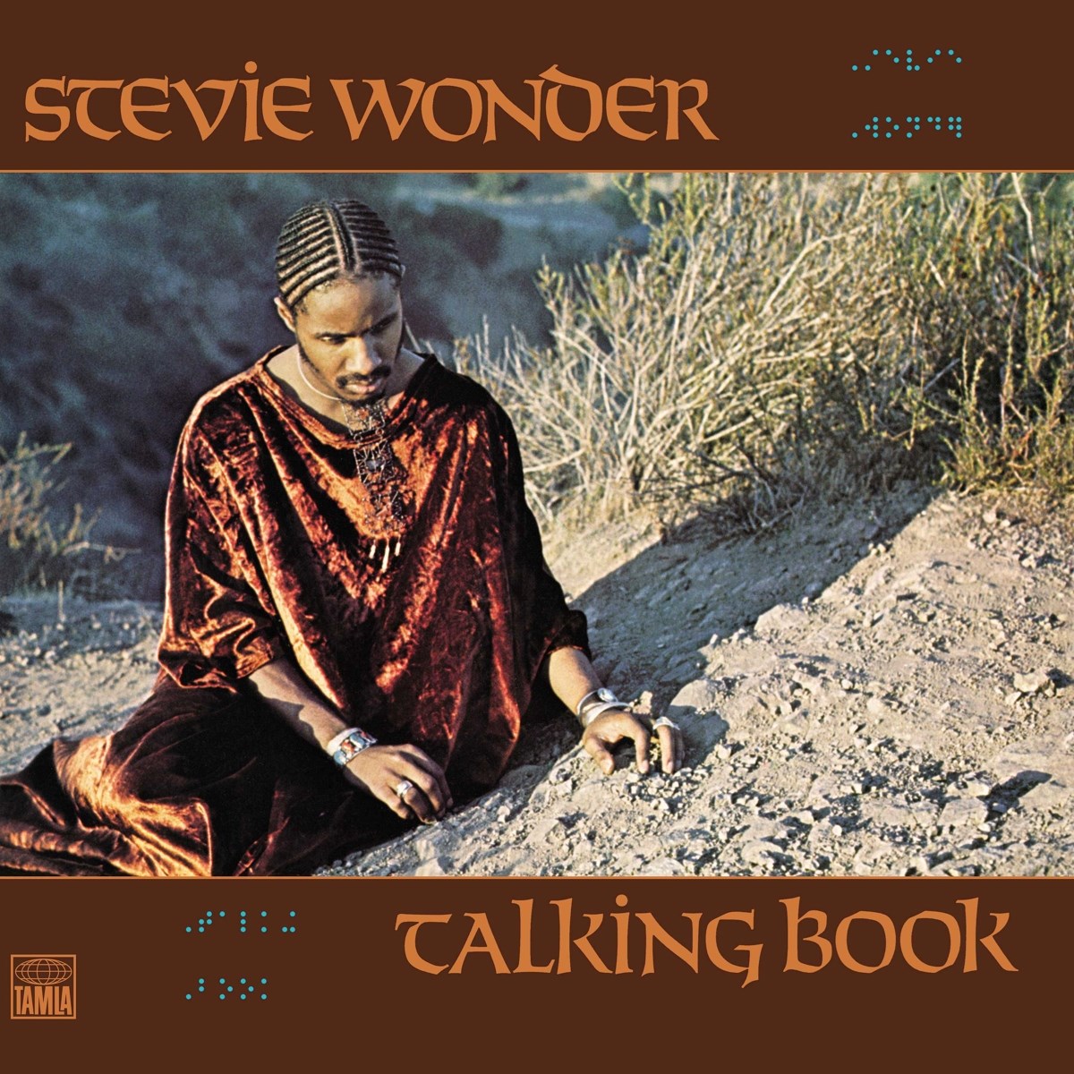 Afbeelding van Talking Book
