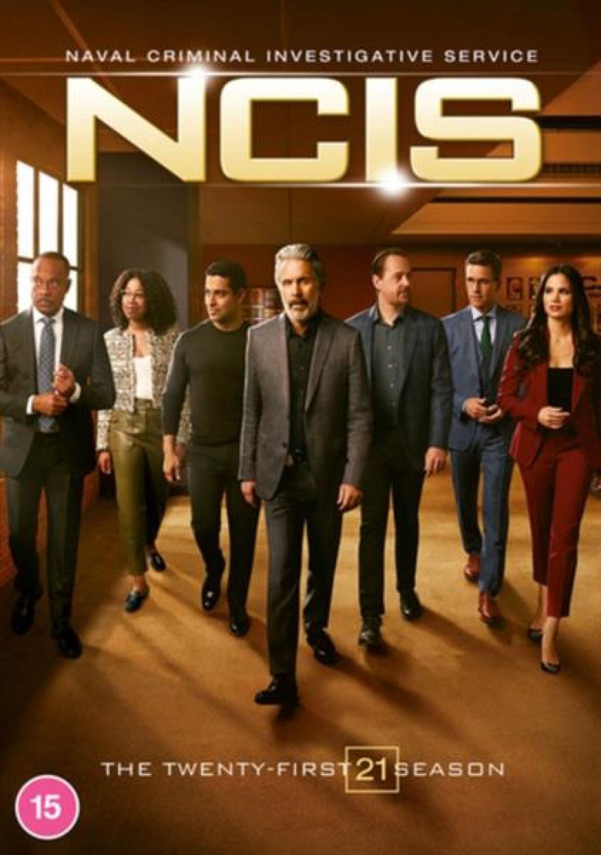 Afbeelding van NCIS: The Twenty-First Season