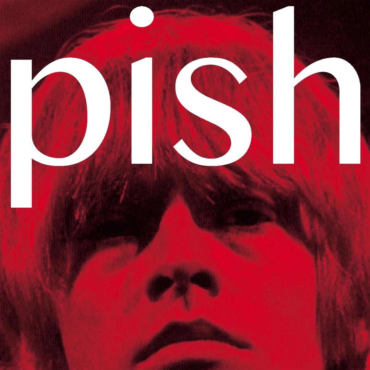 Afbeelding van The Brian Jonestown Massacre - Mini Album Thingy Wingy