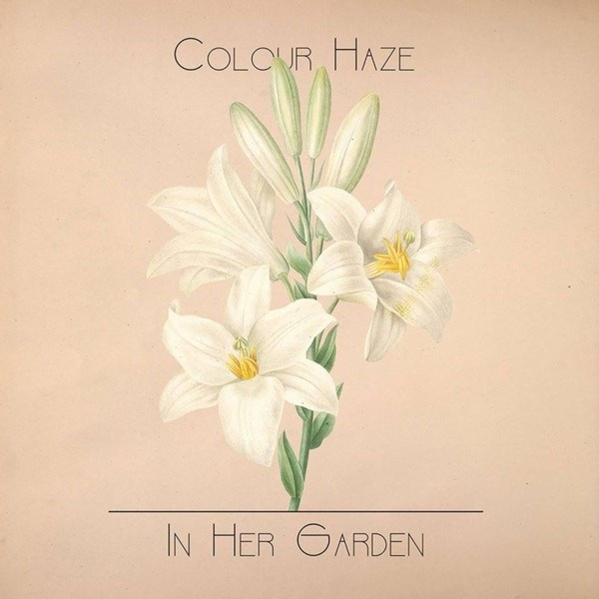 Afbeelding van Colour Haze - In Her Garden
