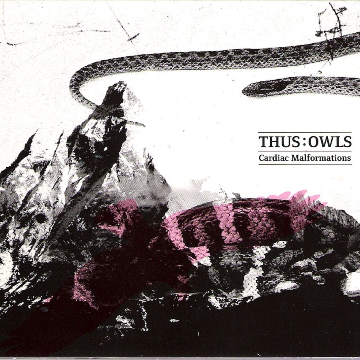 Afbeelding van Thus:Owls