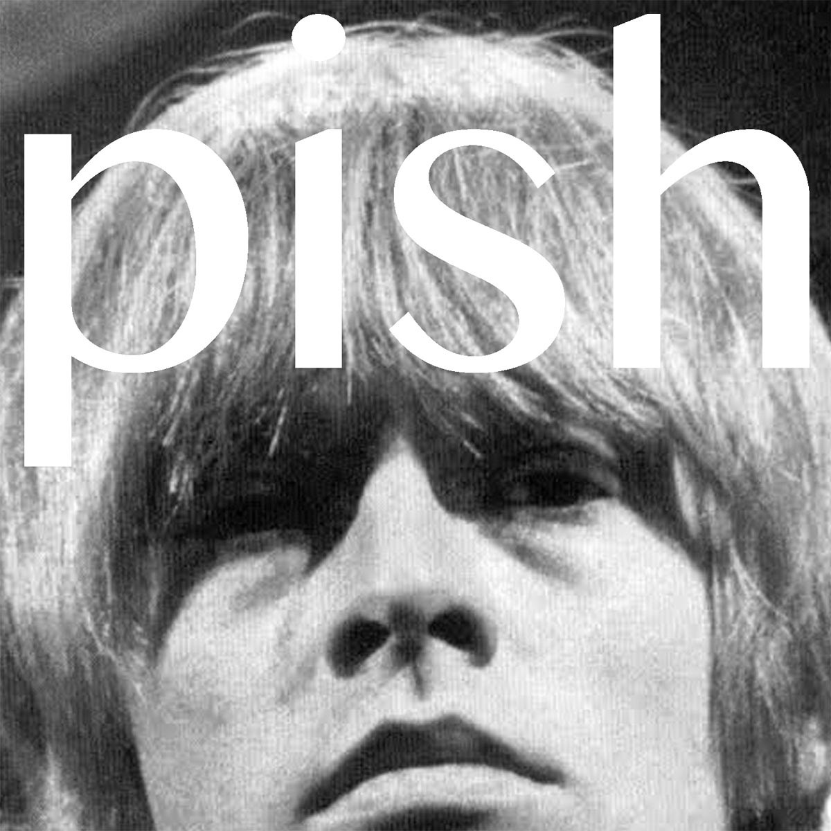 Afbeelding van Brian Jonestown Massacre - Mini Album Thingy Wingy