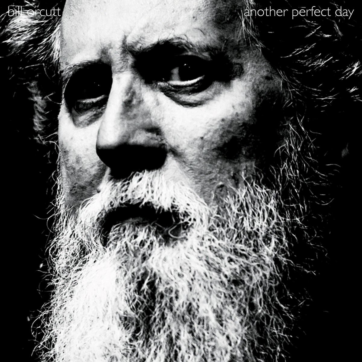 Afbeelding van Bill Orcutt - Another Perfect Day