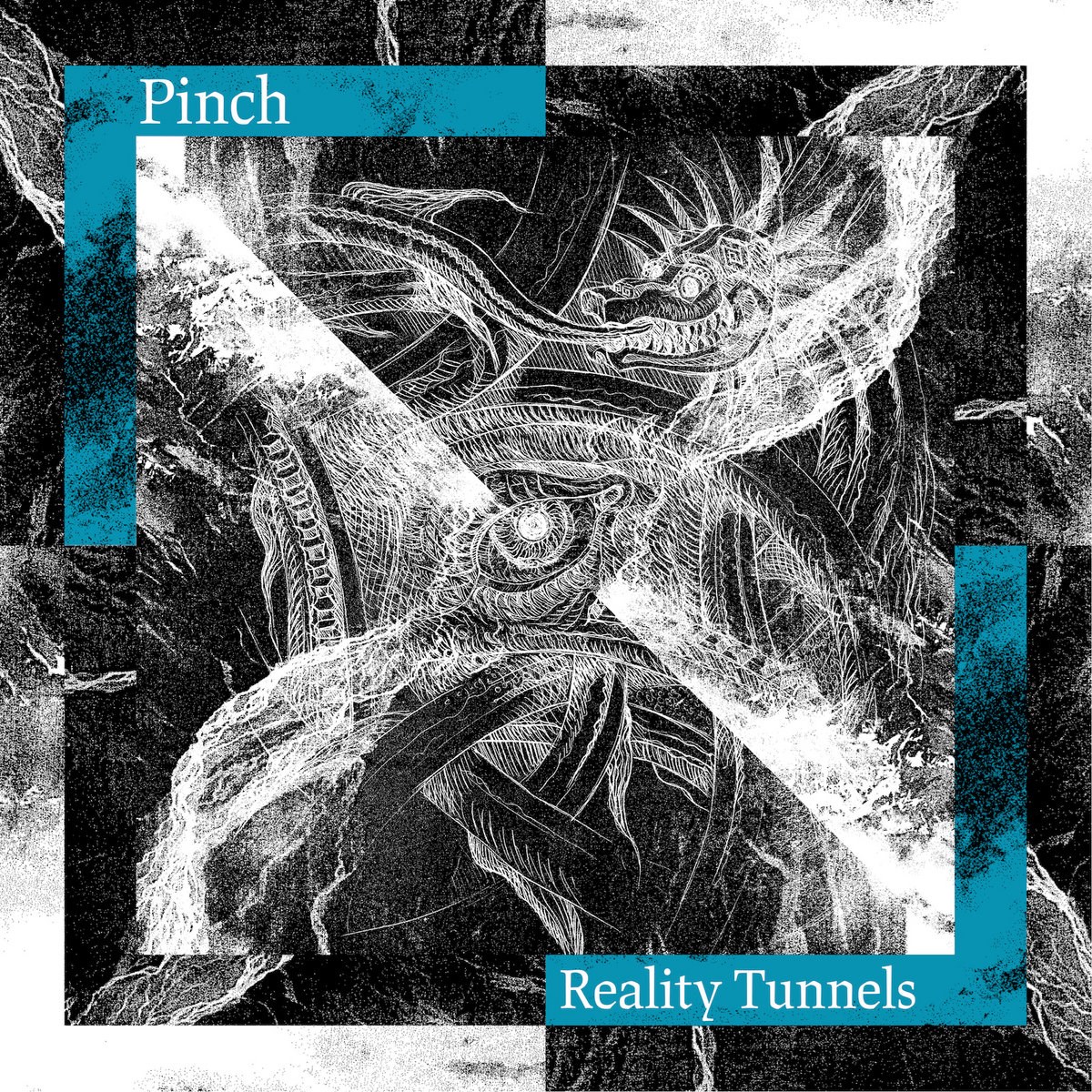 Afbeelding van Pinch - Reality Tunnels