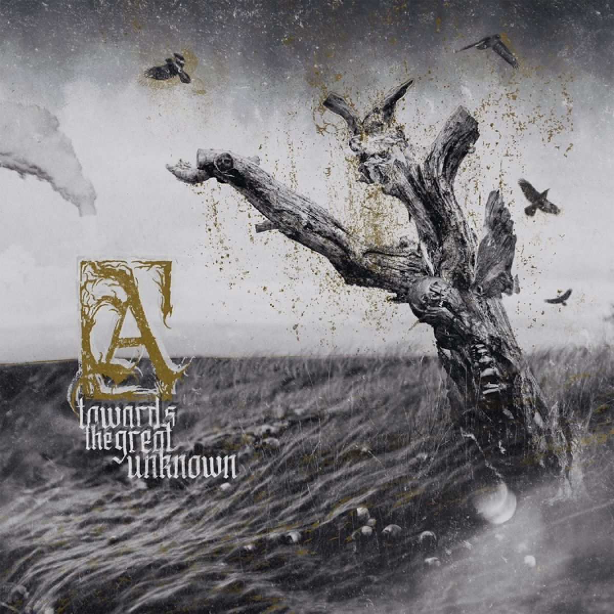 Afbeelding van Austere - Towards The Great Unknown