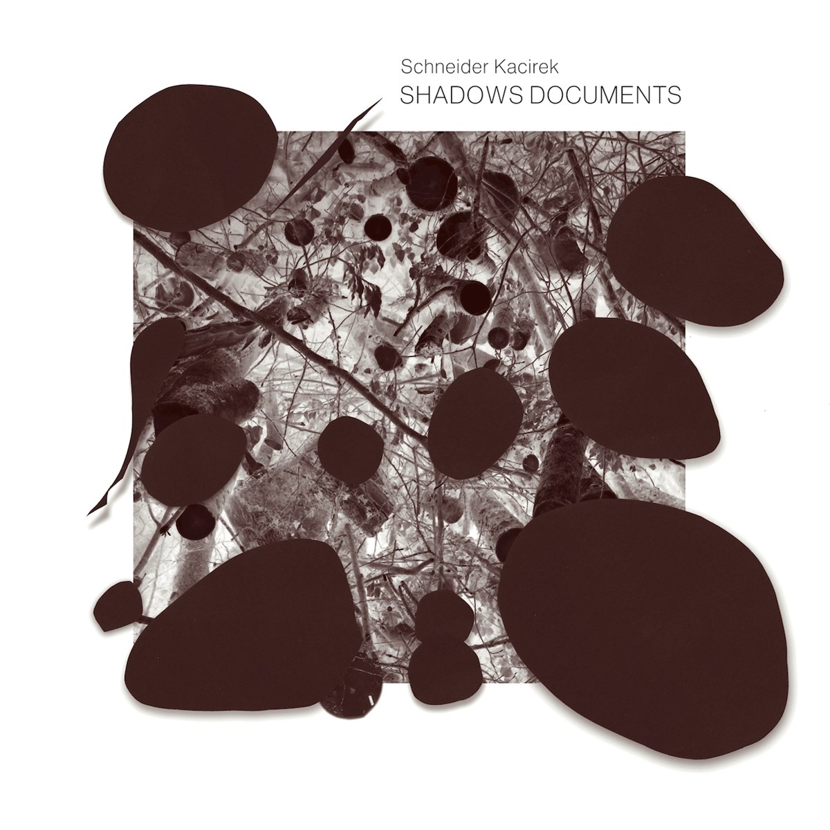 Afbeelding van Schneider Kacirek - Shadows Documents