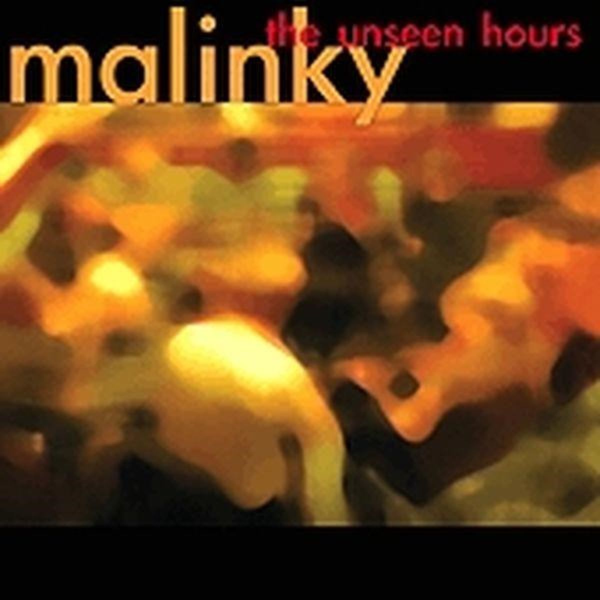 Afbeelding van Malinky - The Unseen Hours