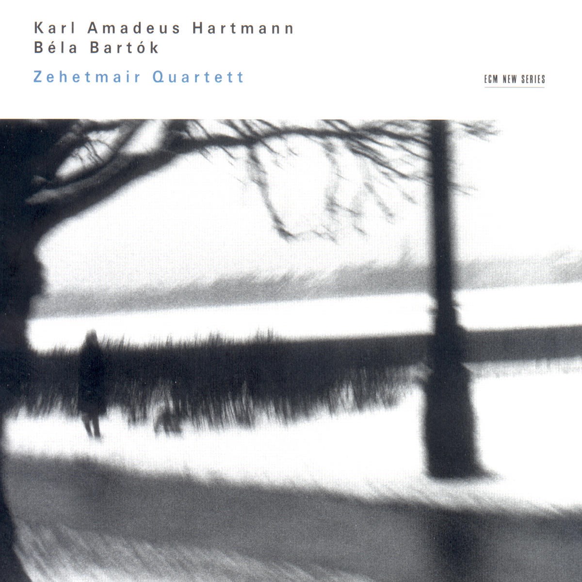 Afbeelding van Zehetmair Quartett - Karl Amadeus Hartmann | Béla Bartók